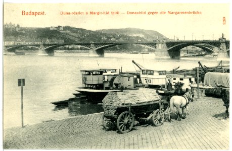 06673-Budapest-1905-Donaubild mit Marienbrücke und Pferdewagen-Brück & Sohn Kunstverlag