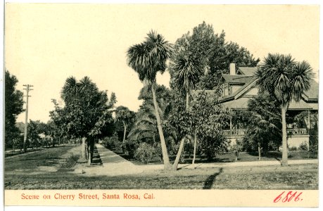 06806-Santa Rosa-1905-Scene on Cherry Street-Brück & Sohn Kunstverlag