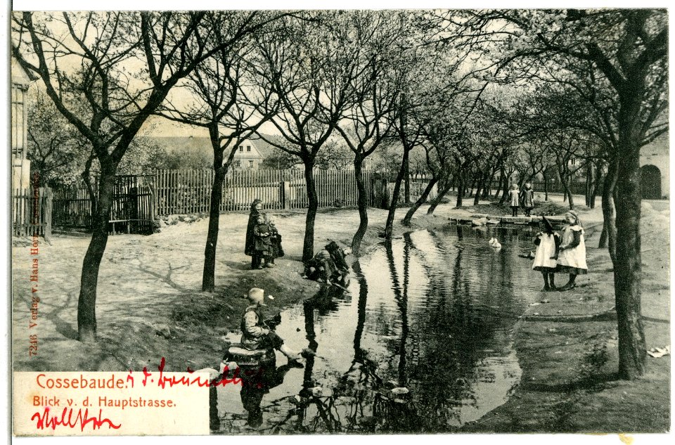 07246-Cossebaude-1906-Blick von der Hauptstraße-Brück & Sohn Kunstverlag