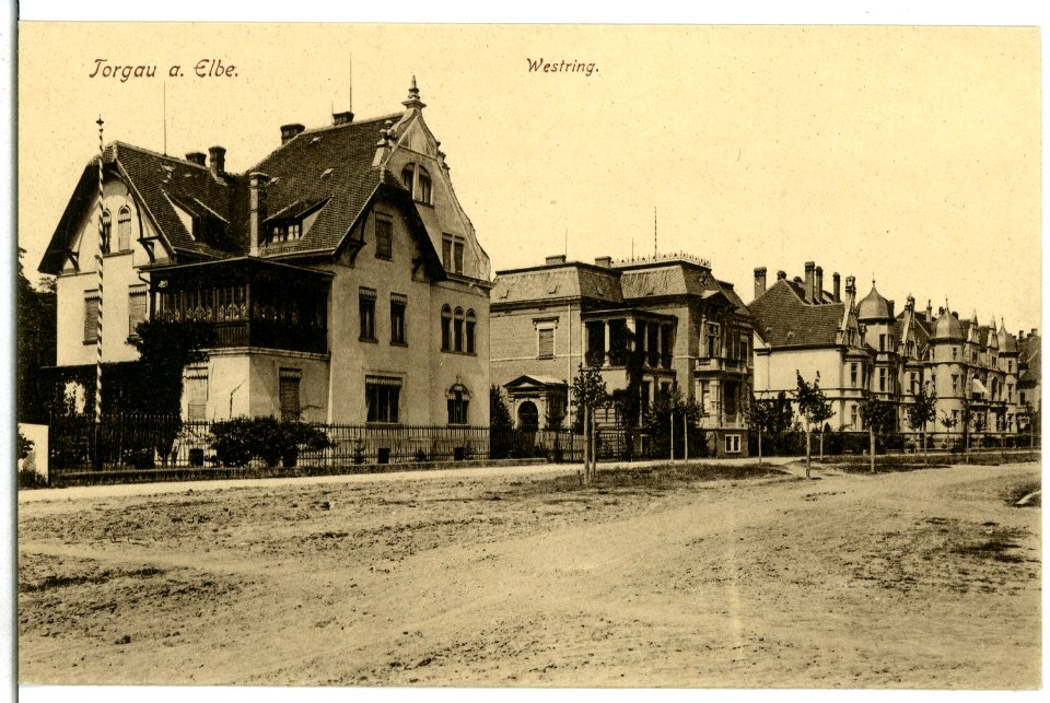07762-Torgau-1906-Westring-Brück & Sohn Kunstverlag
