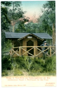 07020-Mühlhausen-1906-bei Bad Elster, Im Heim-Wald des Genesungsheimes-Brück & Sohn Kunstverlag