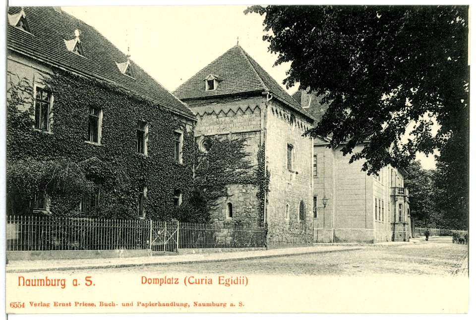 06554-Naumburg-1905-Domplatz-Brück & Sohn Kunstverlag