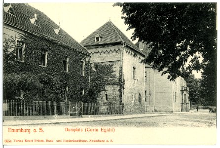 06554-Naumburg-1905-Domplatz-Brück & Sohn Kunstverlag