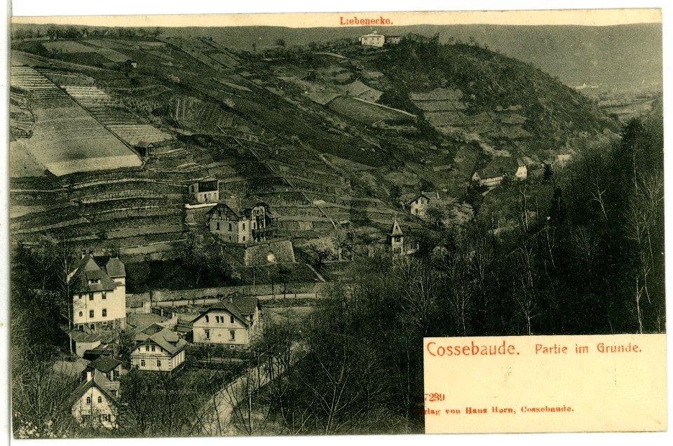 07239-Cossebaude-1906-Im Grunde-Brück & Sohn Kunstverlag