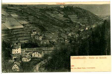 07239-Cossebaude-1906-Im Grunde-Brück & Sohn Kunstverlag