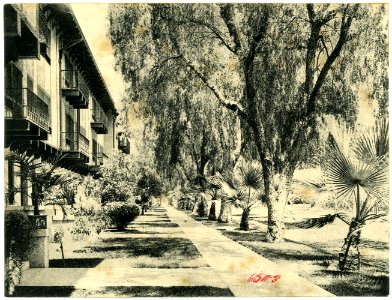 06503--1905--Brück & Sohn Kunstverlag