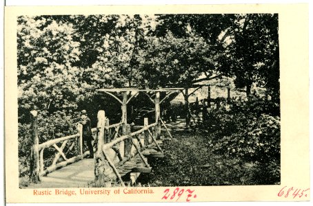 06845-Kalifornien-1905-Rustic Bridge University of California-Brück & Sohn Kunstverlag photo