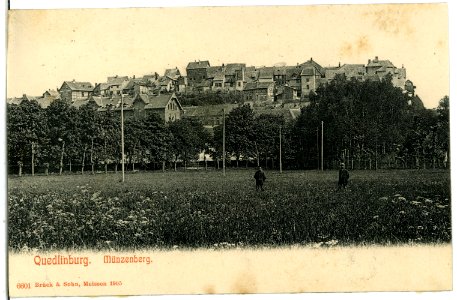 06601-Quedlinburg-1905-Münzenberg-Brück & Sohn Kunstverlag