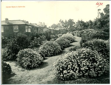 06692-Kalifornien-1905-Garden Scene in California-Brück & Sohn Kunstverlag