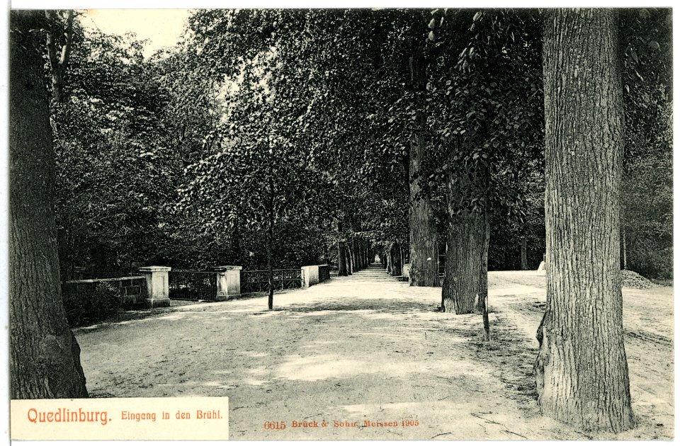 06615-Quedlinburg-1905-Eingang in den Brühl-Brück & Sohn Kunstverlag