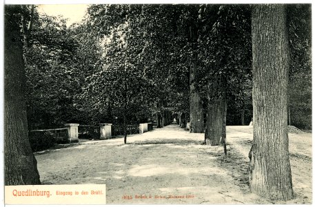 06615-Quedlinburg-1905-Eingang in den Brühl-Brück & Sohn Kunstverlag