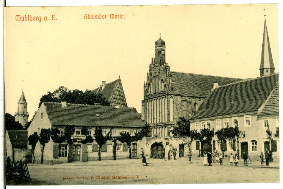 06667-Mühlberg-1905-Altstädter Markt-Brück & Sohn Kunstverlag