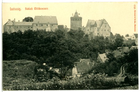 06518-Leisnig-1905-Schloß Mildenstein-Brück & Sohn Kunstverlag