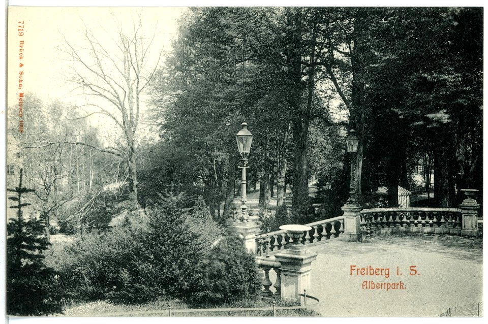 07719-Freiberg-1906-Albertpark-Brück & Sohn Kunstverlag