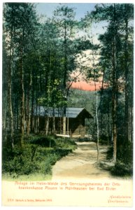 07018-Mühlhausen-1906-bei Bad Elster, Im Heim-Wald des Genesungsheimes-Brück & Sohn Kunstverlag
