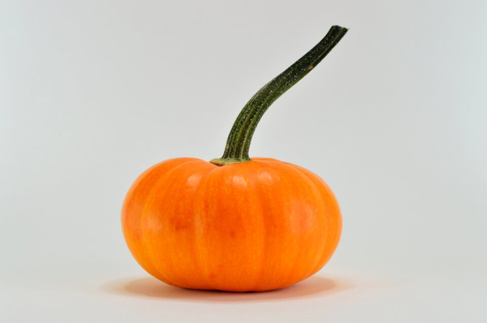 Vegetable halloween thanksgiving
