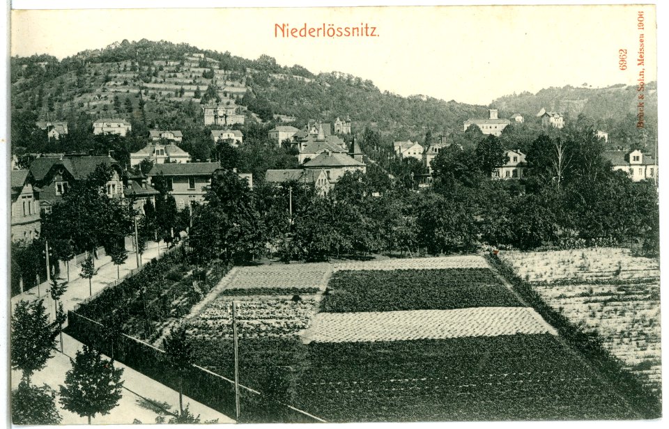06962-Niederlößnitz-1906-Ortsansicht-Brück & Sohn Kunstverlag
