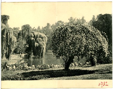 06732--1905--Brück & Sohn Kunstverlag