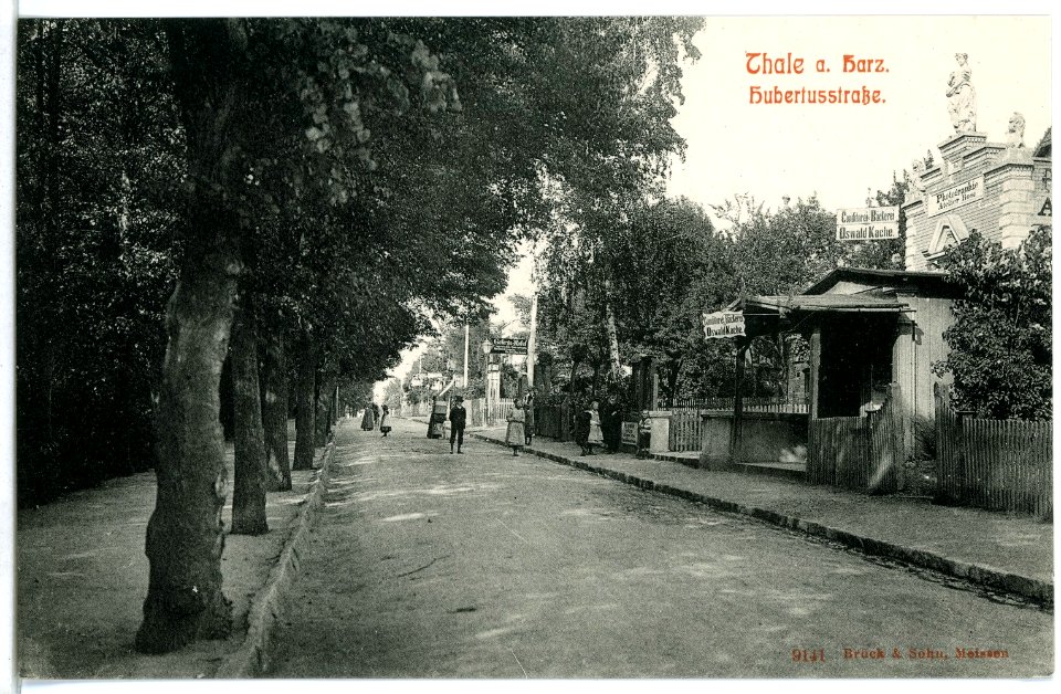 09141-Thale-Harz-1907-Hubertusstraße-Brück & Sohn Kunstverlag
