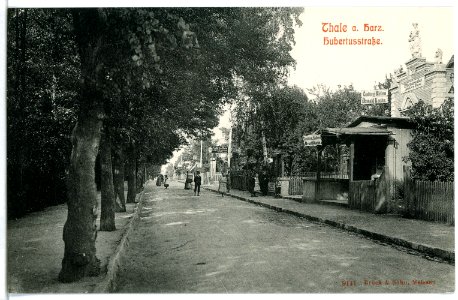 09141-Thale-Harz-1907-Hubertusstraße-Brück & Sohn Kunstverlag