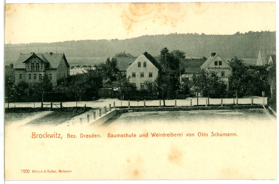 07030-Brockwitz-1906-Baumschule und Weintreiberei Otto Schumann-Brück & Sohn Kunstverlag