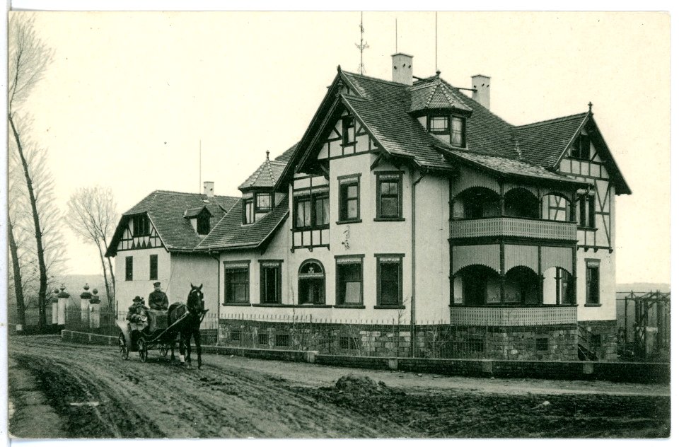 06886-Stauchitz-1906-Häuser und Pferdekutsche-Brück & Sohn Kunstverlag