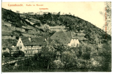 07240-Cossebaude-1906-Im Grunde mit Liebenecke-Brück & Sohn Kunstverlag