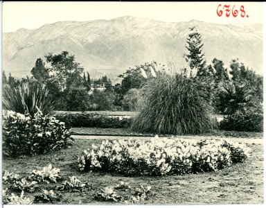 06768--1905--Brück & Sohn Kunstverlag