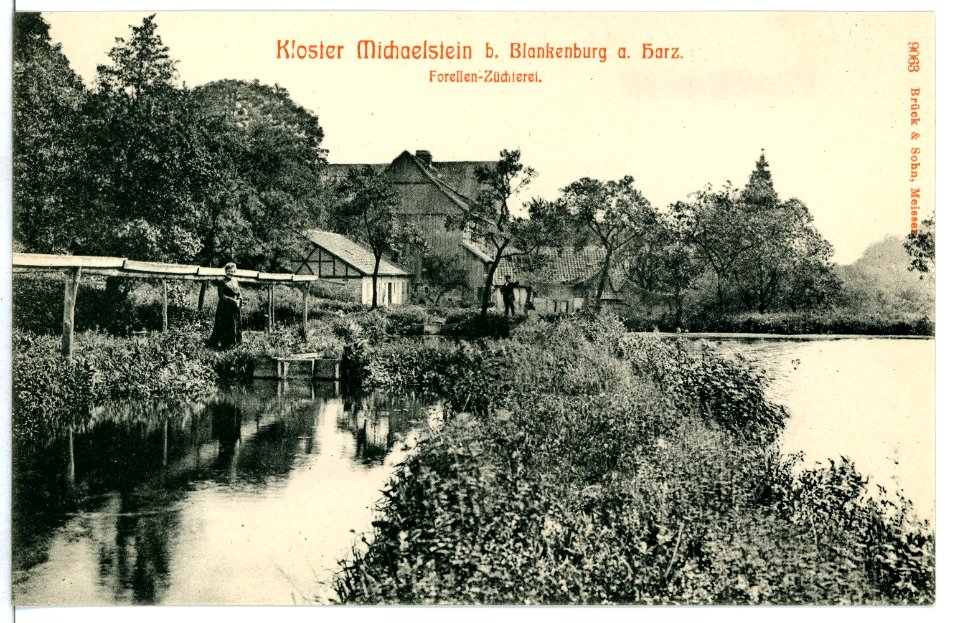 09063-Blankenburg-1907-Kloster Michaelstein - Forellen-Züchterei-Brück & Sohn Kunstverlag