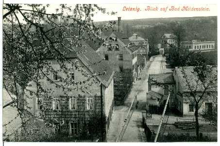 07237-Leisnig-1906-Bad Mildenstein-Brück & Sohn Kunstverlag