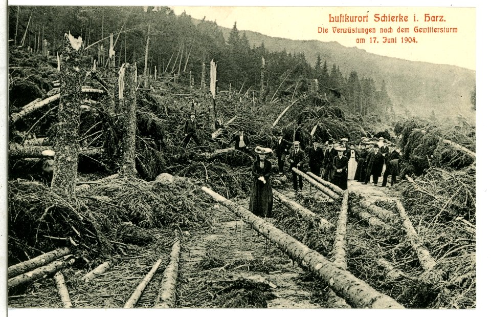 09089-Schierke-1907-Waldverwüstungen nach Gewittersturm-Brück & Sohn Kunstverlag