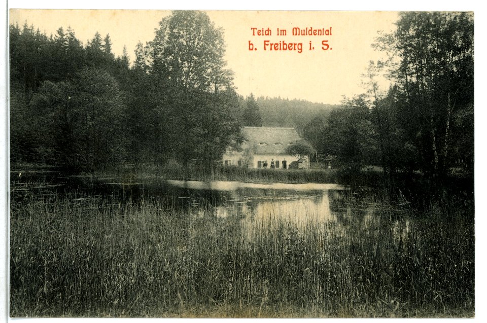 09129-Freiberg-1907-Teich im Muldental-Brück & Sohn Kunstverlag