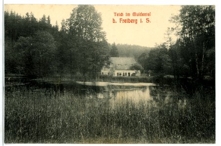 09129-Freiberg-1907-Teich im Muldental-Brück & Sohn Kunstverlag