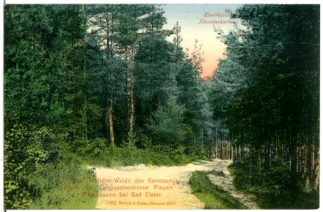07022-Mühlhausen-1906-bei Bad Elster, Im Heim-Wald des Genesungsheimes-Brück & Sohn Kunstverlag