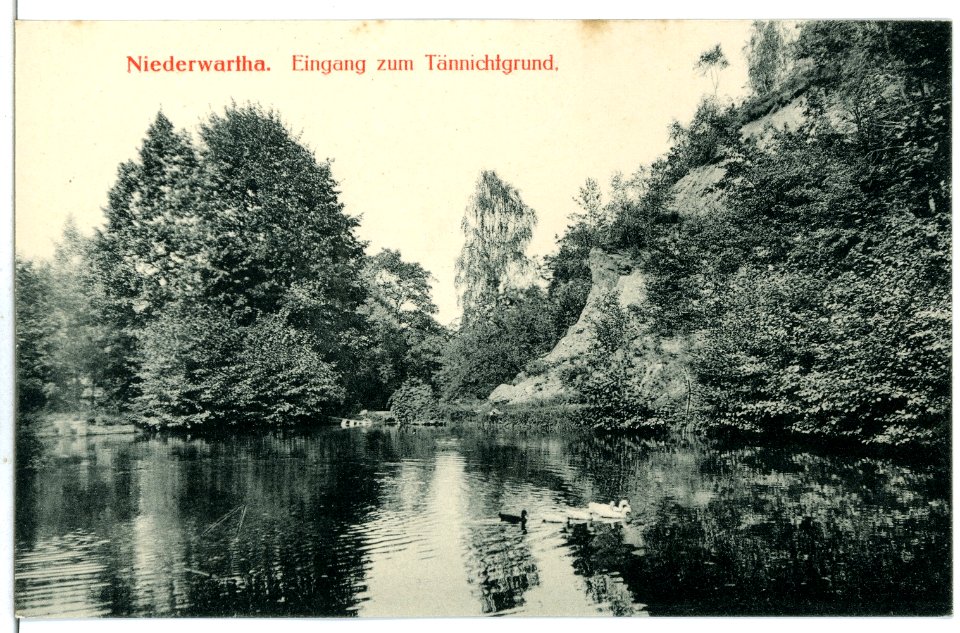 07027-Niederwartha-1906-Eingang zum Tännichtgrund-Brück & Sohn Kunstverlag