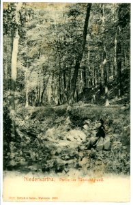 07028-Niederwartha-1906-Im Tännichtgrund-Brück & Sohn Kunstverlag