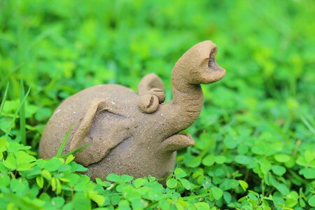 Grass animal nature