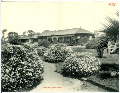 06693-Kalifornien-1905-Garden Scene in California-Brück & Sohn Kunstverlag