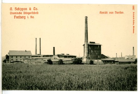 08887-Freiberg-1907-Düngerfabrik Schippan von Norden-Brück & Sohn Kunstverlag