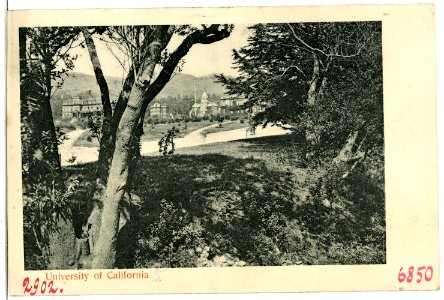 06850-Kalifornien-1905-University of California-Brück & Sohn Kunstverlag