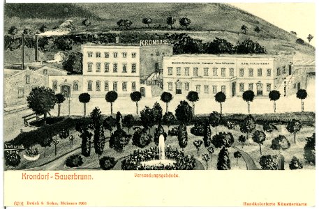 06701-Krondorf-1905-Sauerbrunn - Versendungsgebäude-Brück & Sohn Kunstverlag photo