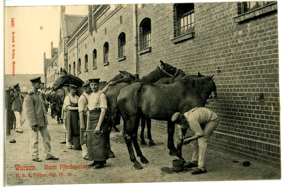 09460-Wurzen-1908-Beim Pferdeputzen-Brück & Sohn Kunstverlag