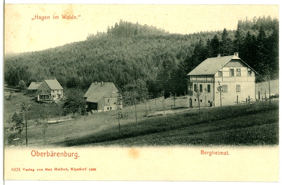 06424-Oberbärenburg-1905-"Hagen im Walde", Bergheimat-Brück & Sohn Kunstverlag