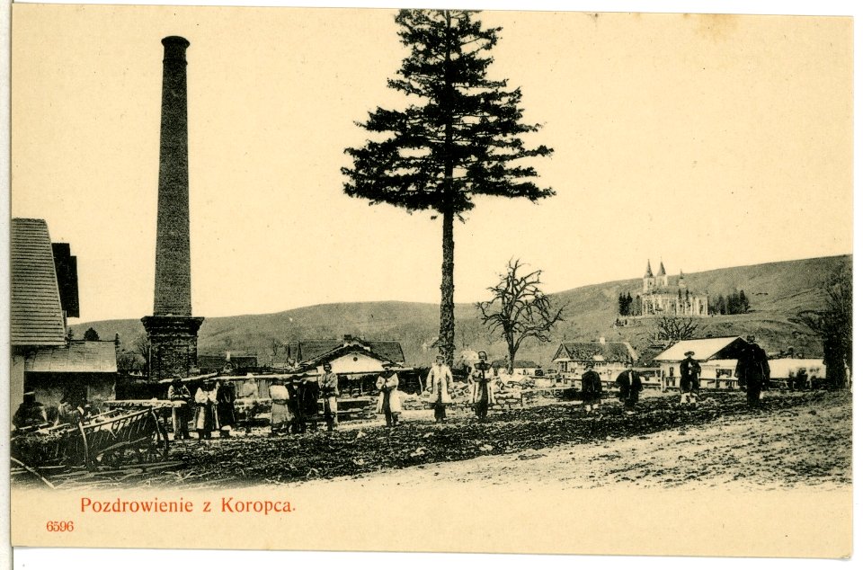 06596-Koropca-1905-Pozdrowiene z. Koropca-Brück & Sohn Kunstverlag