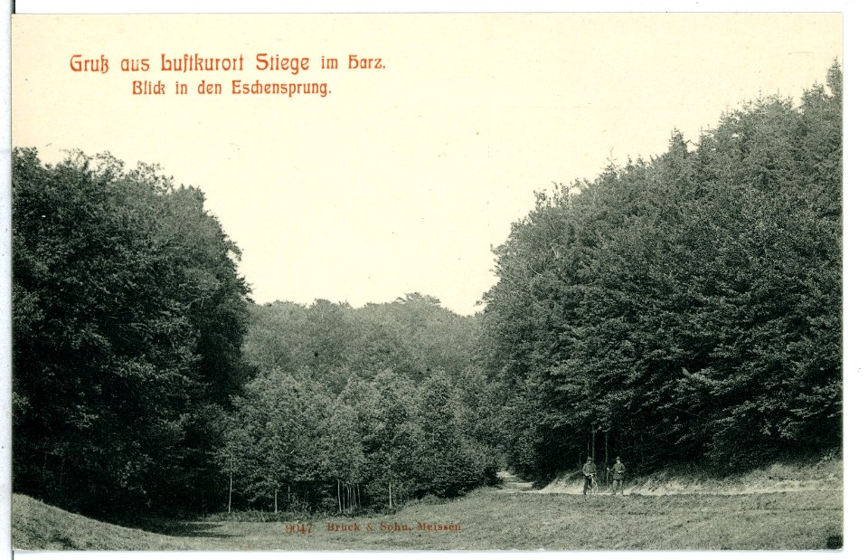 09047-Stiege-1907-Blick in den Eschensprung-Brück & Sohn Kunstverlag