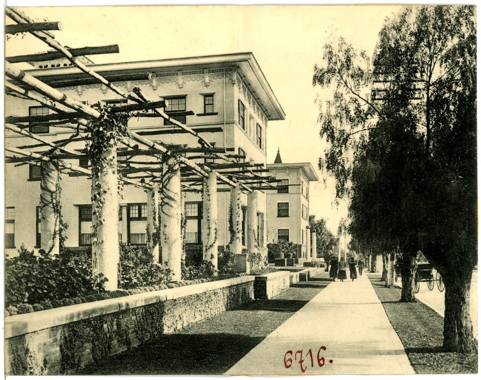 06716--1905--Brück & Sohn Kunstverlag