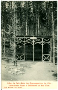 07019-Mühlhausen-1906-bei Bad Elster, Im Heim-Wald des Genesungsheimes-Brück & Sohn Kunstverlag