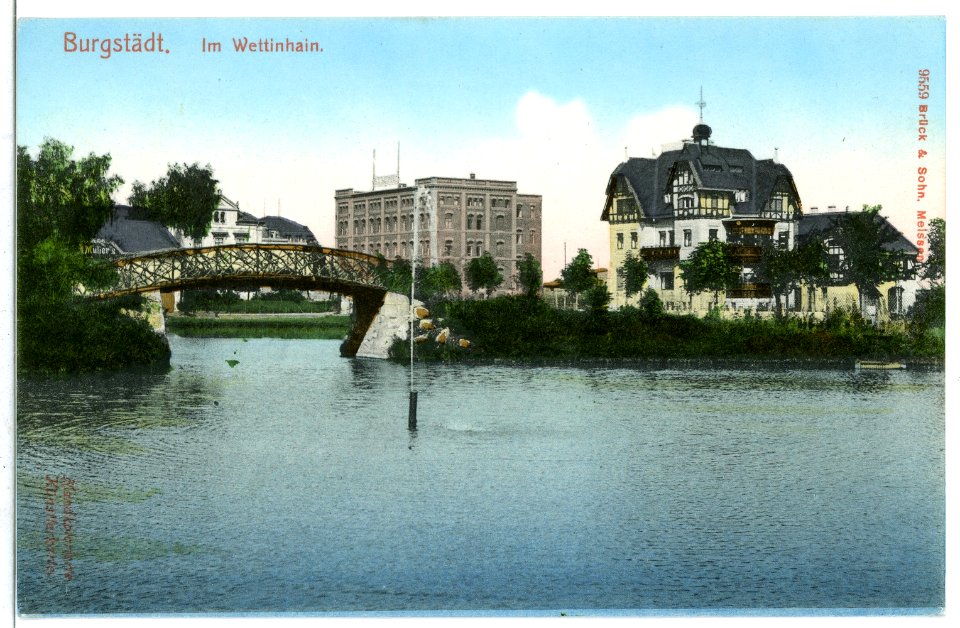 09559-Burgstädt-1908-Im Wettinhain-Brück & Sohn Kunstverlag