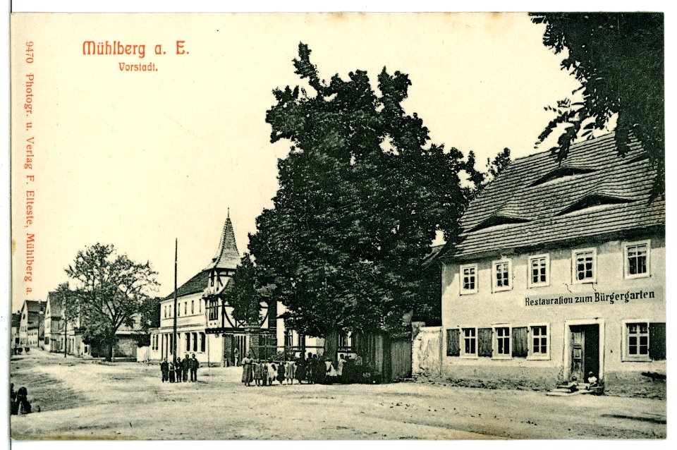 09470-Mühlberg-Elbe-1908-Vorstadt mit Restauration zum Bürgergarten-Brück & Sohn Kunstverlag