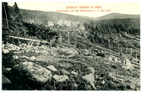 09090-Schierke-1907-Waldverwüstungen nach Gewittersturm-Brück & Sohn Kunstverlag